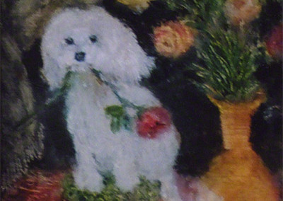 Beverly’s Maltese