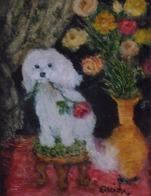 Beverly’s Maltese