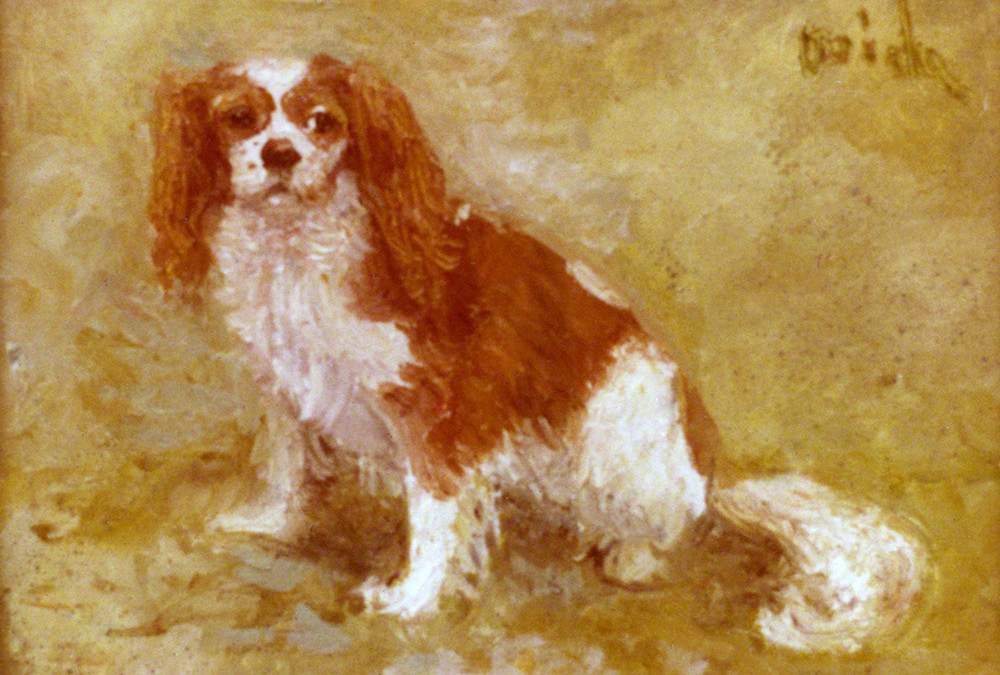 Cavalier King Charles