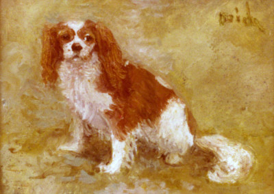 Cavalier King Charles